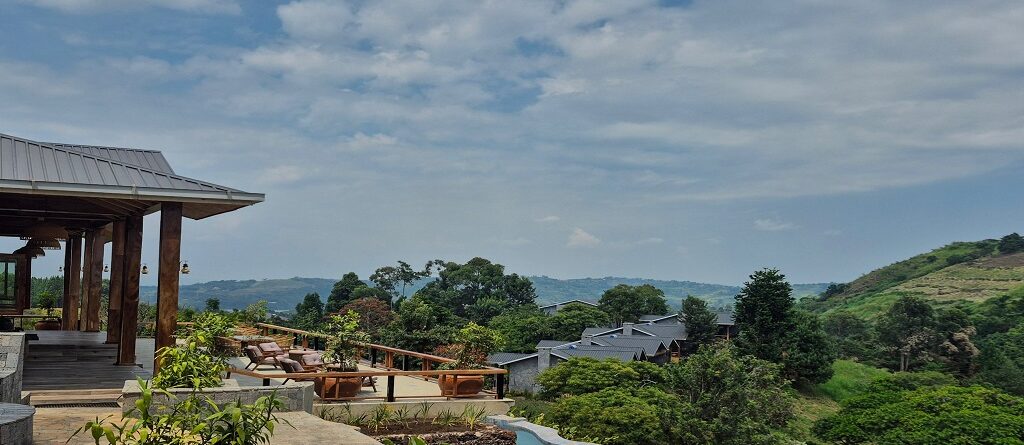 Accommodations in Kibale National Park: A Complete Guide to Where to Stay