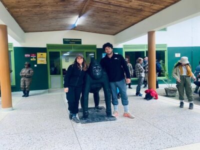 Uganda Gorilla Trekking from South Africa: Your Complete Planning Guide