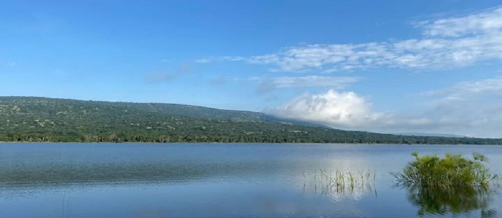 What to Do at Lake Shakani, Akagera National Park
