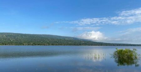 What to Do at Lake Shakani, Akagera National Park
