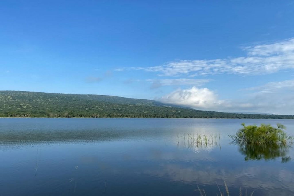 What to Do at Lake Shakani, Akagera National Park