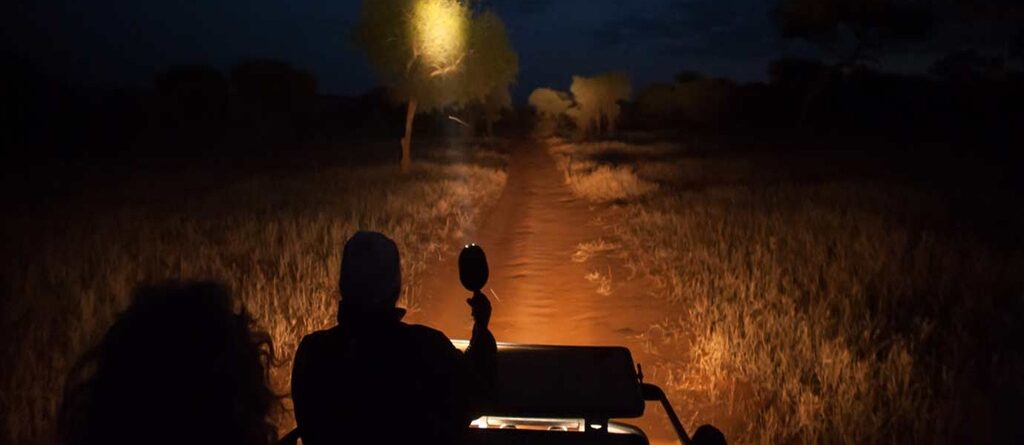 Night Game Drives in Uganda