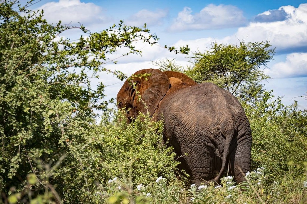 Kora National Park