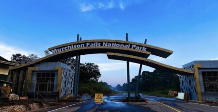 Things to do in Masindi