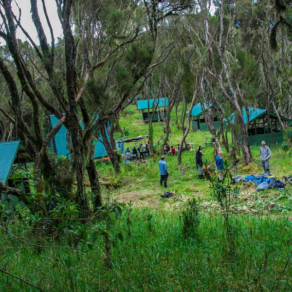 Camping in the Rwenzori Mountains Vs sleeping in huts: Camps, Prices, Trails